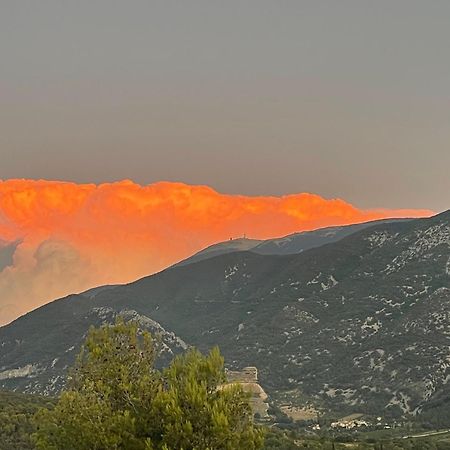 Mollans-sur-Ouvèze Les Terrasses Du Ventoux 아파트 외부 사진